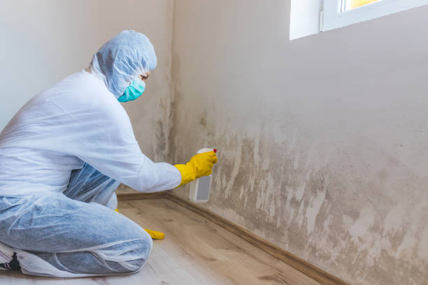 Licensed Crawl Space Mold Removal service in Franklinton, NC - WQB Mold Removal