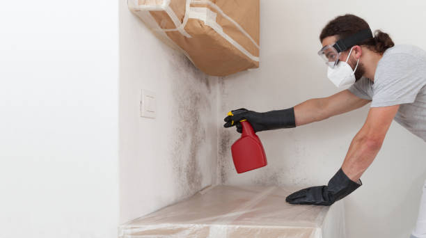 Professional Crawl Space Mold Removal technician working in Franklinton, NC