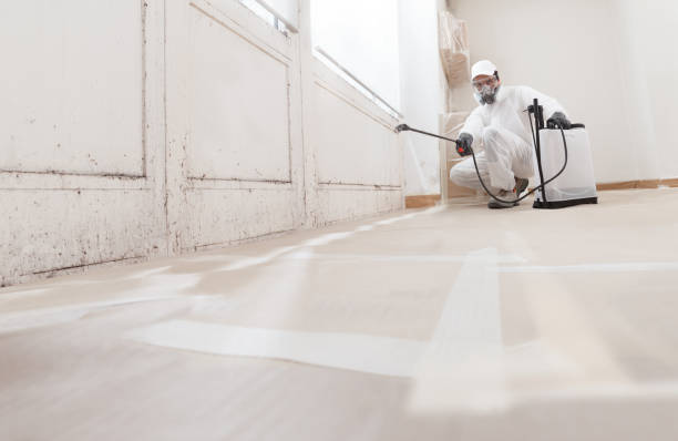 24/7 Emergency Crawl Space Mold Removal experts in Franklinton, NC