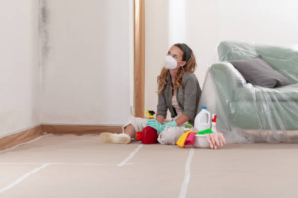 Reliable Crawl Space Mold Removal contractor in Franklinton, NC by WQB Mold Removal